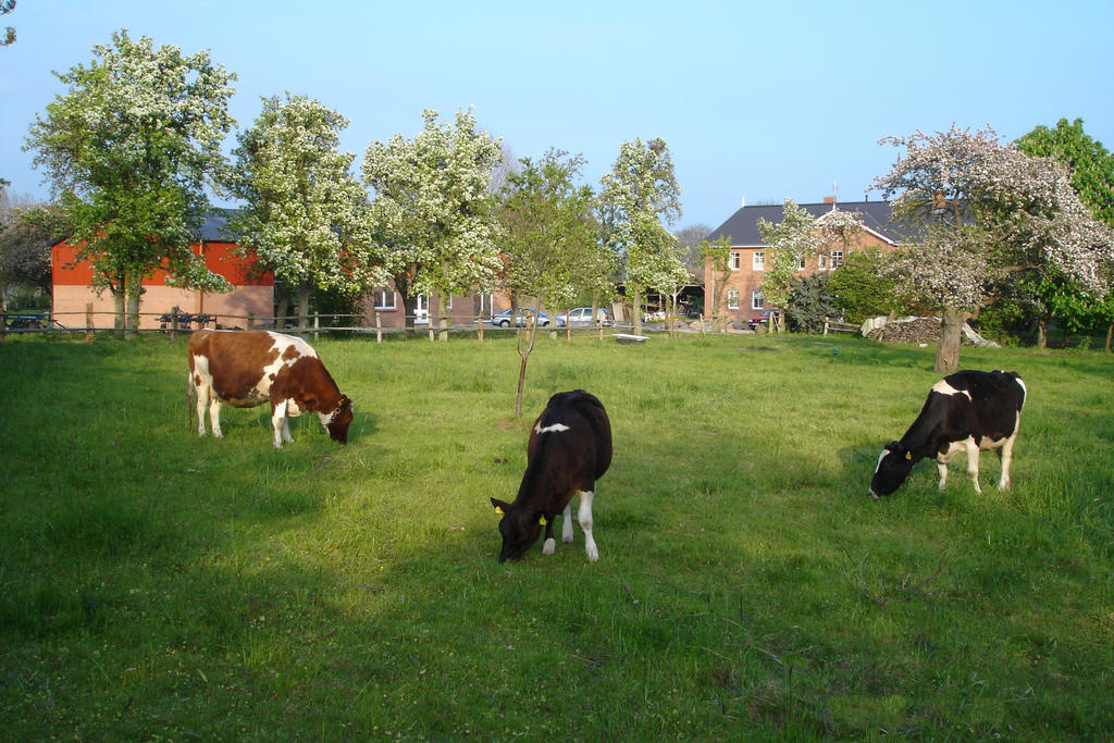 Hof Faasel - Bauernhofurlaub An Der Ostsee Grömitz Dış mekan fotoğraf