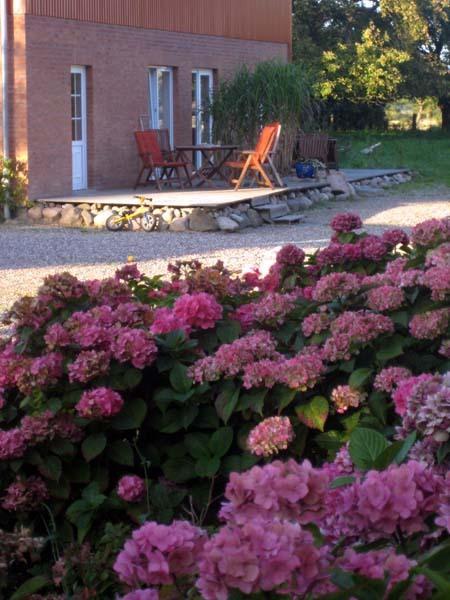 Hof Faasel - Bauernhofurlaub An Der Ostsee Grömitz Dış mekan fotoğraf
